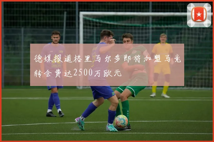 德媒报道格里马尔多即将加盟马竞转会费达2500万欧元