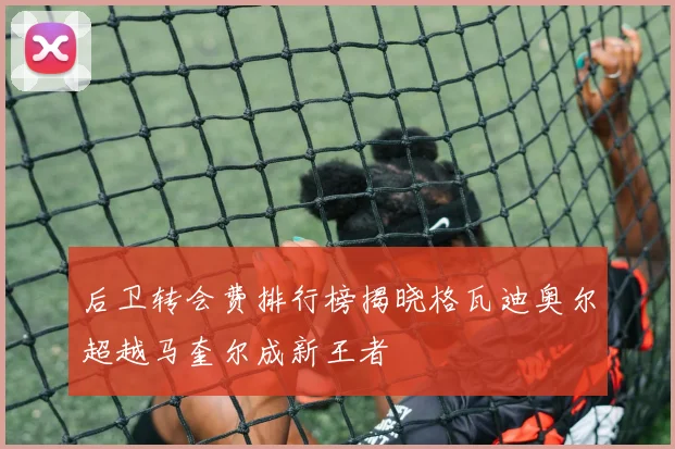后卫转会费排行榜揭晓格瓦迪奥尔超越马奎尔成新王者